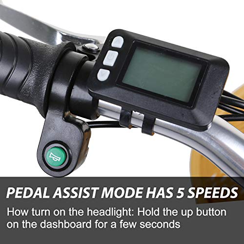 NAKTO 22" Electric Bike 250W Electric Bicycle Sporting City Ebike for Female