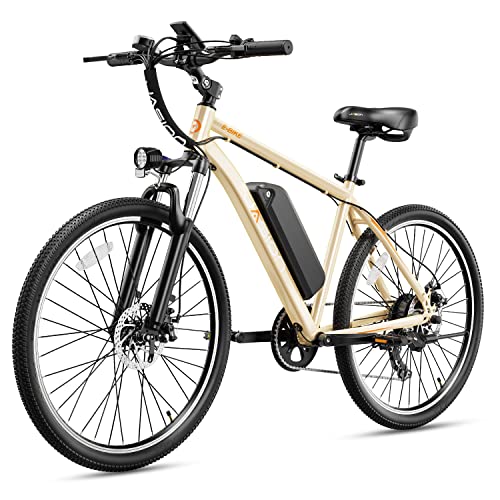 Jasion EB5 Electric Bike for Adults with 360Wh Removable Battery